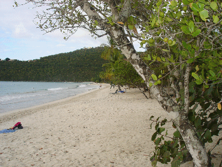 Megan's Bay in St. Thomas